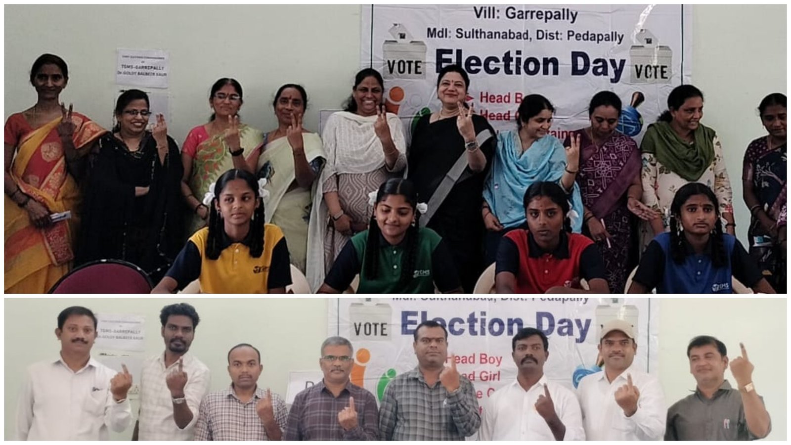 House elections